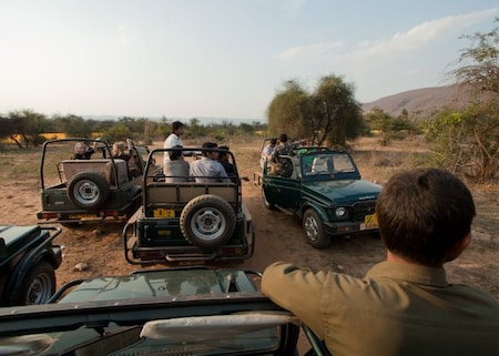 Canter and Jeep Safaris