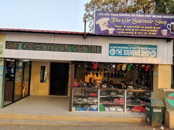 The Gir Souvenir Shop | Sasan Gir - What to Expect | Timings | Tips ...