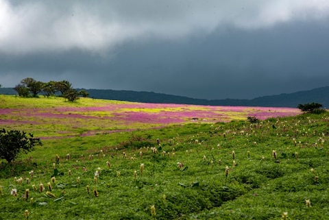 Satara, Maharashtra