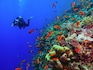 Scuba_diving_Saudi_arabia_2
