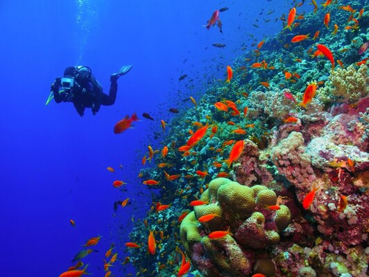 Scuba_diving_Saudi_arabia_2