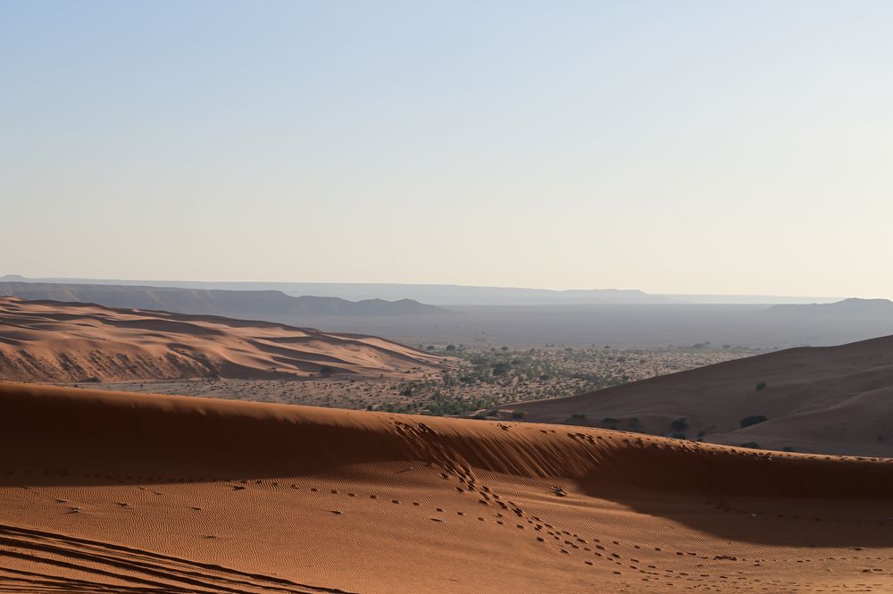 Al-Kharrarah-National-Park_1