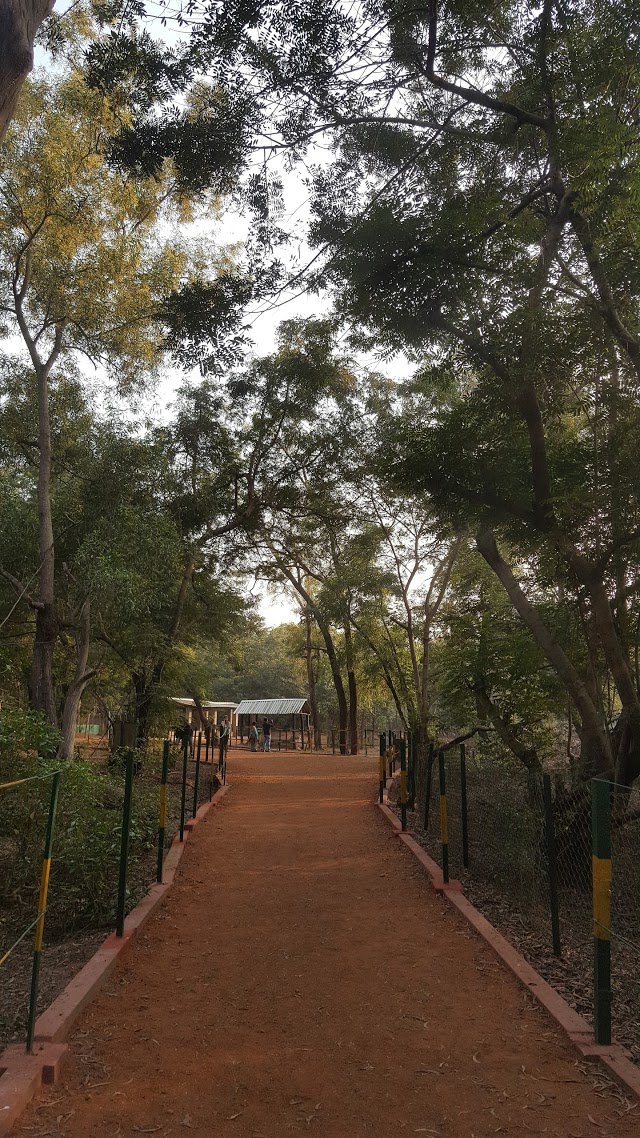 Shantiniketan Ballavpur Wildlife Sanctuary Landscape Image