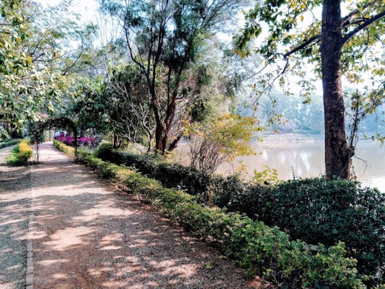 Shantiniketan Shyor Bithi Park Landscape Image