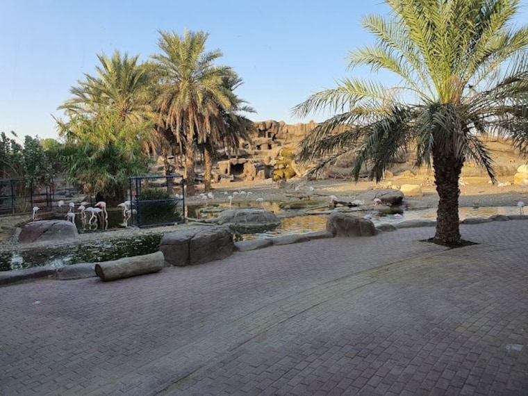 Sharhaj_Desert_Park_1