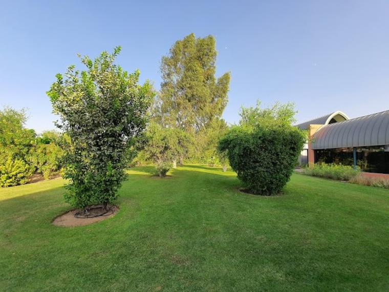 Sharhaj_Desert_Park_3