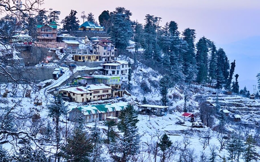 Shimla Kufri Landscape Image