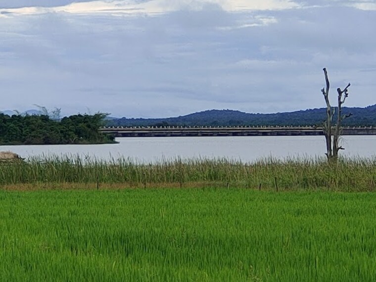 Gajanur_Dam_3