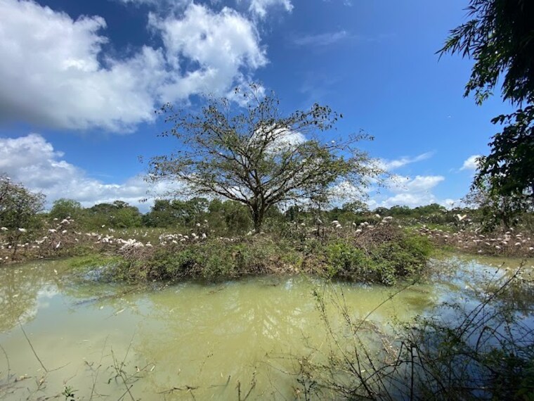 Gudavi_Bird_Sanctuary_1