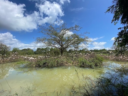 Gudavi Bird Sanctuary