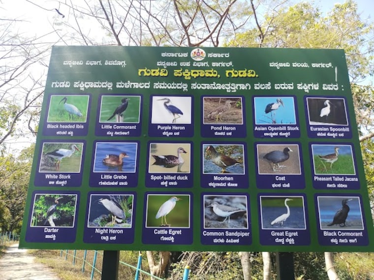 Gudavi_Bird_Sanctuary_3