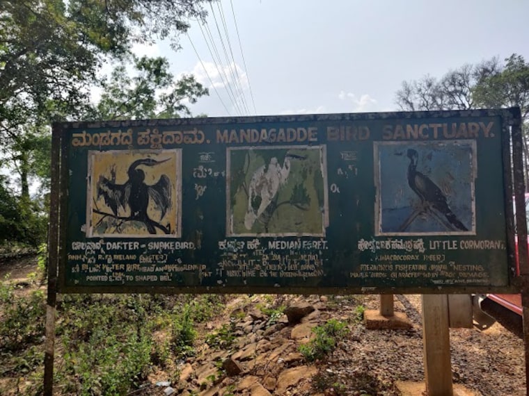 Mandagadde_Bird_Sanctuary_1