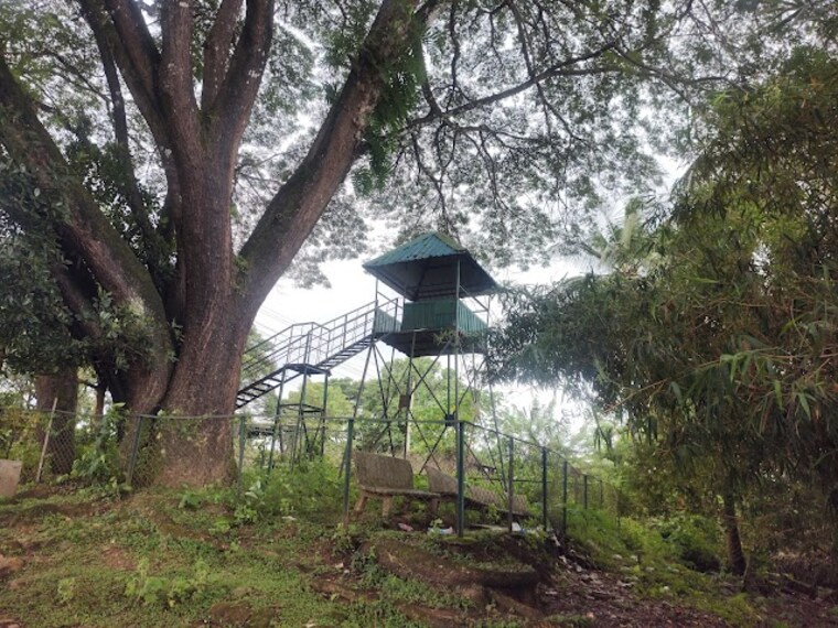 Mandagadde_Bird_Sanctuary_4