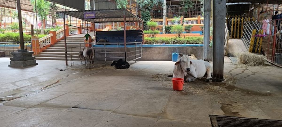 Sigandur_Chowdeshwari_Temple_2