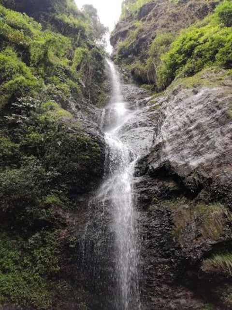 Chadwick Falls