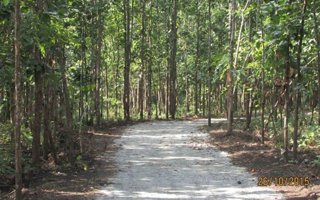 Siliguri North Bengal Wild Animals Park (Bengal Safari) Landscape Image