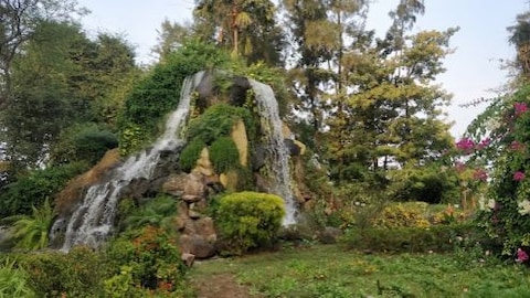 Hirwa Van Garden