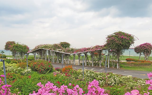 Singapore East Coast Park Landscape Image