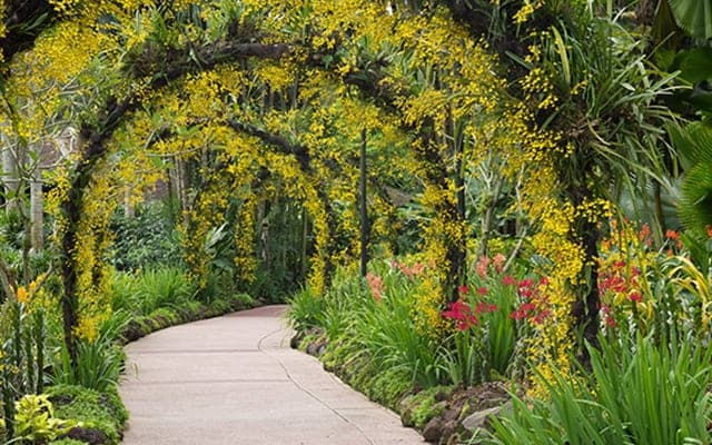 Singapore Singapore Botanic Gardens Landscape Image