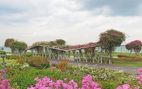 Chill at East Coast Park