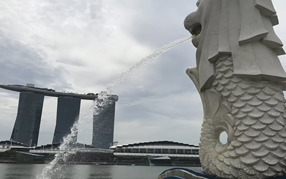 Singapore Merlion Park Landscape Image
