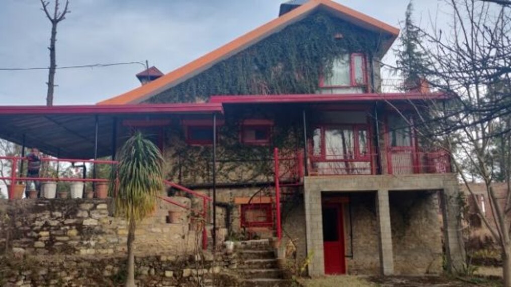 solan_banlekhi_rambling_rose_barog