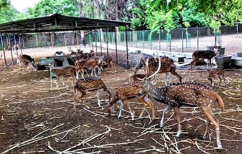 Mahatma Gandhi Zoo