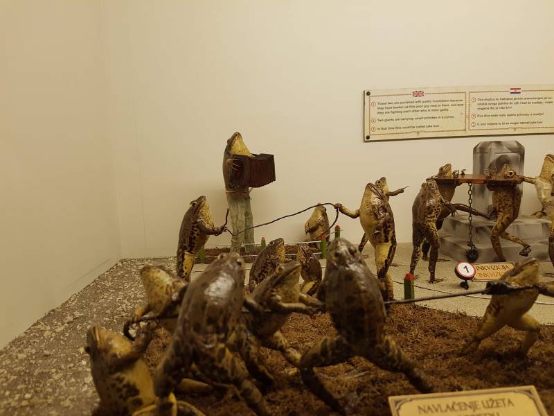 Split_Froggyland_3