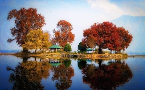 The Chinar Garden