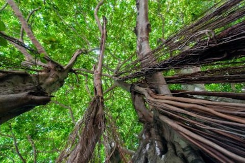 A Relaxing Trip to a Banya