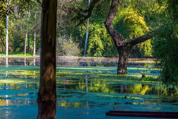 Chhattisgarh_landscape_9