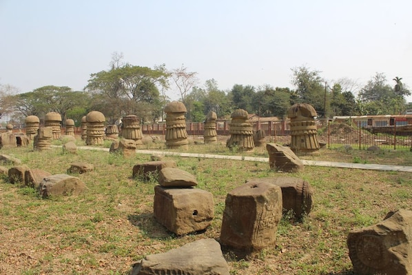 Nagaland_landscape_5