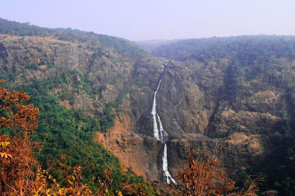 Odisha_Landscape_6