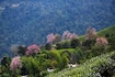 Sikkim_Landscape_8
