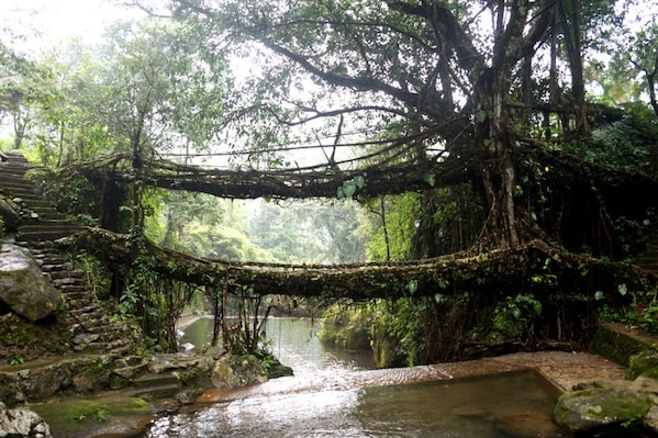 meghalaya_landscape_3