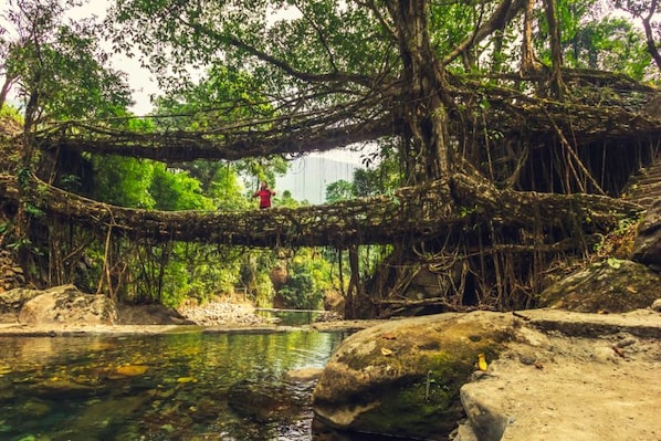 meghalaya_landscape_8