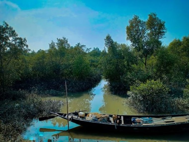 Piyali Island | Sunderbans - What to Expect | Timings | Tips - Trip ...