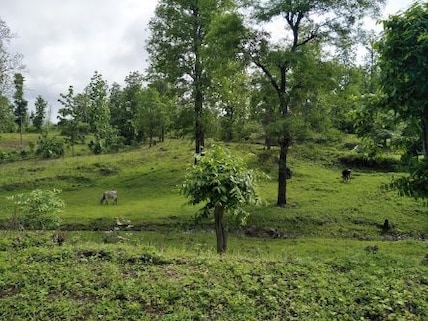 Purna Wildlife Sanctuary