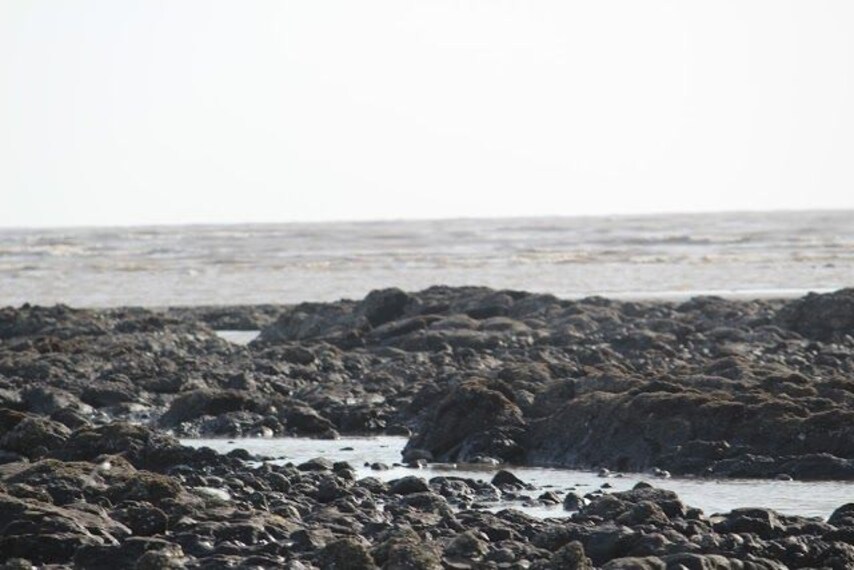 surat_umbergaon_beach