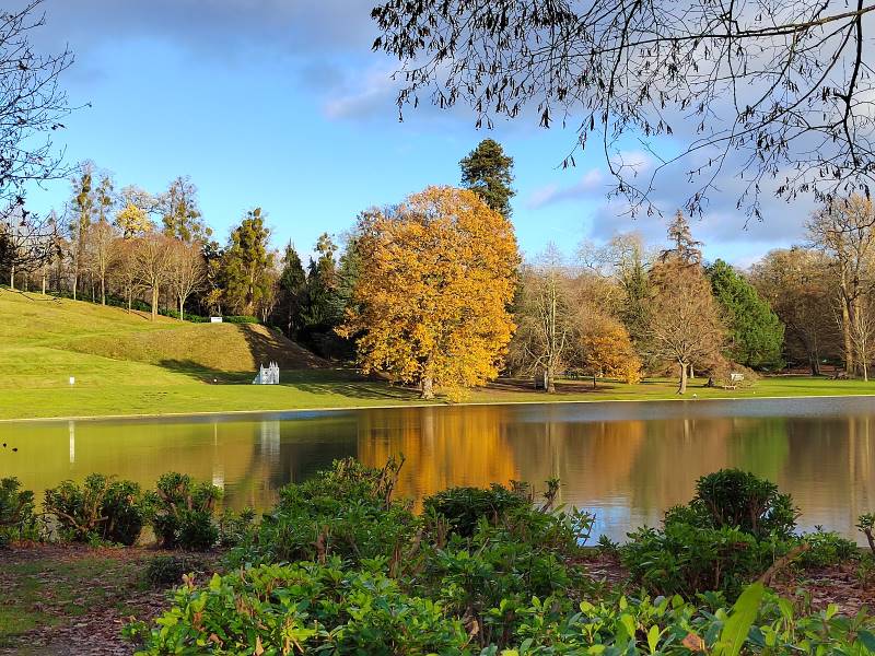 Surrey_Claremont_Landscape_Garden_6