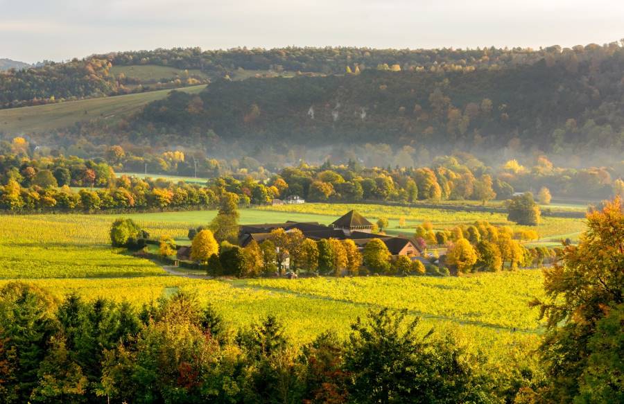 Surrey_Denbies_Wine_Estate_1