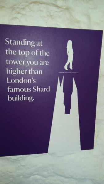 Surrey_Leith_Hill_&_Tower_9