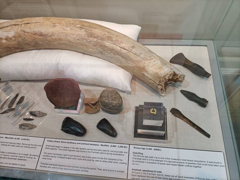 Surrey_Museum_of_Farnham_5