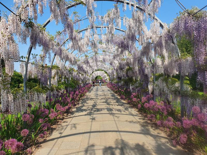 Surrey_RHS_Garden_Wisley_10