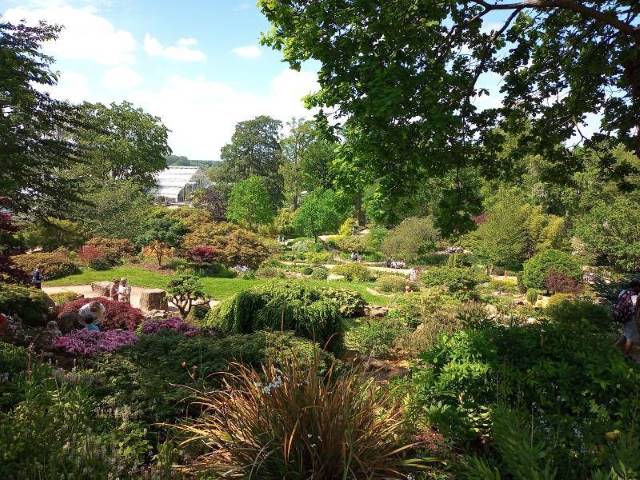 Surrey_RHS_Garden_Wisley_2