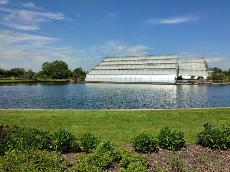 Surrey_RHS_Garden_Wisley_8