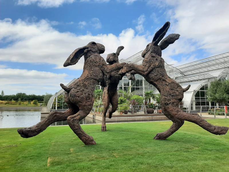 Surrey_RHS_Garden_Wisley_9