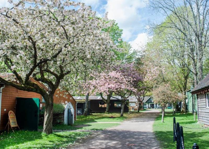 Surrey_Rural_Life_Living_Museum_1