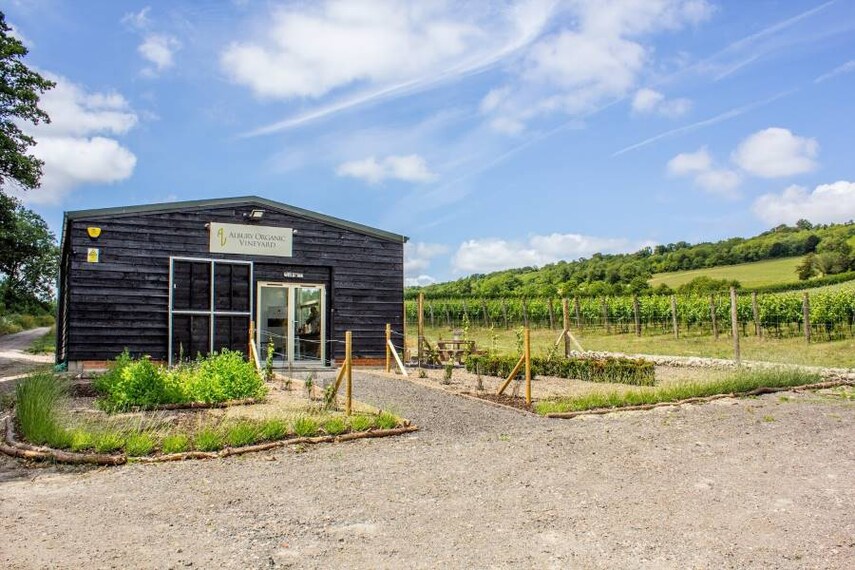 Surrey_Albury_Vineyard_3