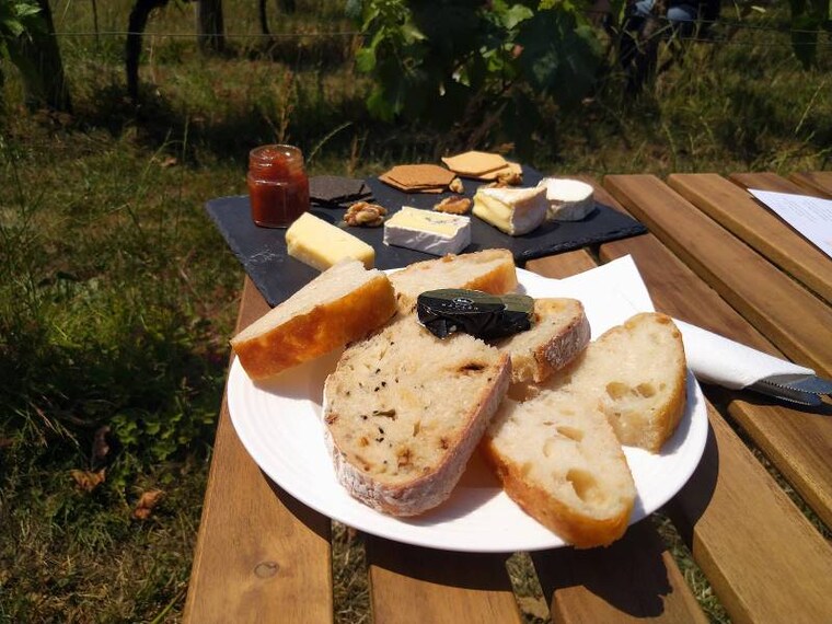 Surrey_Albury_Vineyard_8